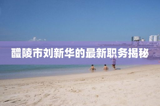醴陵市刘新华的最新职务揭秘