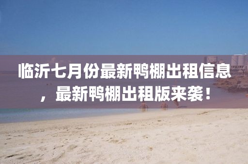 临沂七月份最新鸭棚出租信息，最新鸭棚出租版来袭！