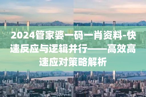 2024管家婆一码一肖资料-快速反应与逻辑并行——高效高速应对策略解析