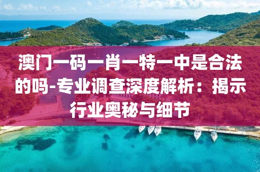 澳门一码一肖一特一中是合法的吗-专业调查深度解析：揭示行业奥秘与细节