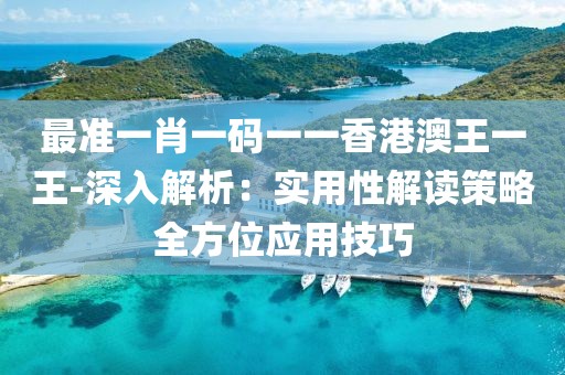 最准一肖一码一一香港澳王一王-深入解析：实用性解读策略全方位应用技巧