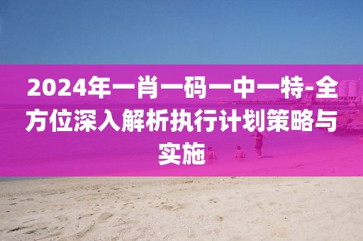 2024年一肖一码一中一特-全方位深入解析执行计划策略与实施