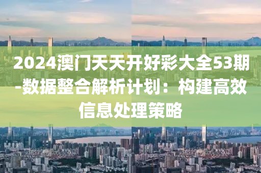 2024澳门天天开好彩大全53期-数据整合解析计划：构建高效信息处理策略