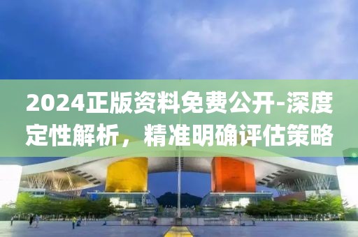 2024正版资料免费公开-深度定性解析，精准明确评估策略