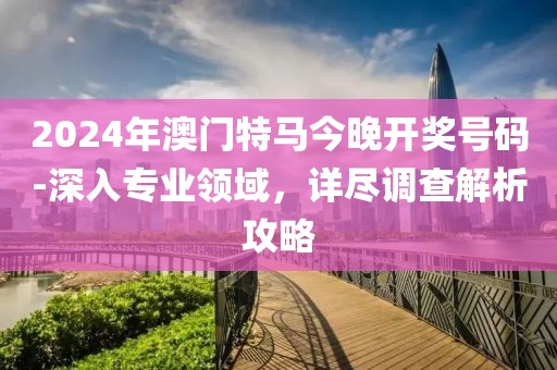 2024年澳门特马今晚开奖号码-深入专业领域，详尽调查解析攻略