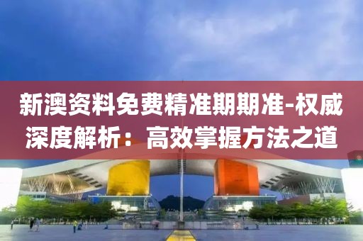 新澳资料免费精准期期准-权威深度解析：高效掌握方法之道