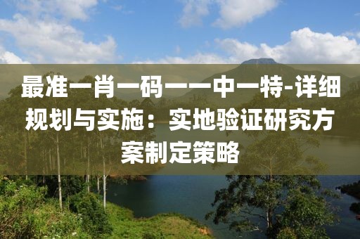 最准一肖一码一一中一特-详细规划与实施：实地验证研究方案制定策略