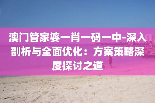 澳门管家婆一肖一码一中-深入剖析与全面优化：方案策略深度探讨之道