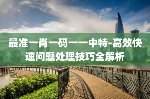 最准一肖一码一一中特-高效快速问题处理技巧全解析