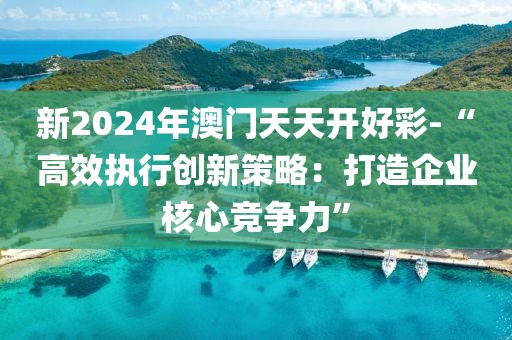 新2024年澳门天天开好彩-“高效执行创新策略：打造企业核心竞争力”