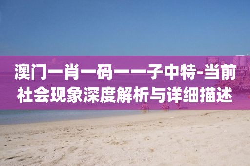 澳门一肖一码一一子中特-当前社会现象深度解析与详细描述