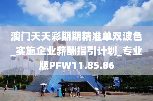 澳门天天彩期期精准单双波色_实施企业薪酬指引计划_专业版PFW11.85.86
