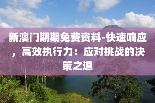 新澳门期期免费资料-快速响应，高效执行力：应对挑战的决策之道