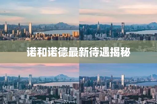 诺和诺德最新待遇揭秘