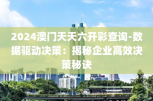 2024澳门天天六开彩查询-数据驱动决策：揭秘企业高效决策秘诀