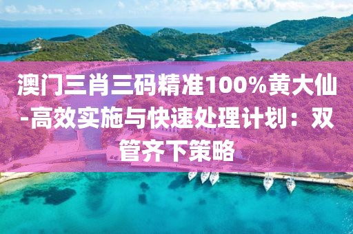 澳门三肖三码精准100%黄大仙-高效实施与快速处理计划：双管齐下策略