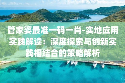 管家婆最准一码一肖-实地应用实践解读：深度探索与创新实践相结合的策略解析