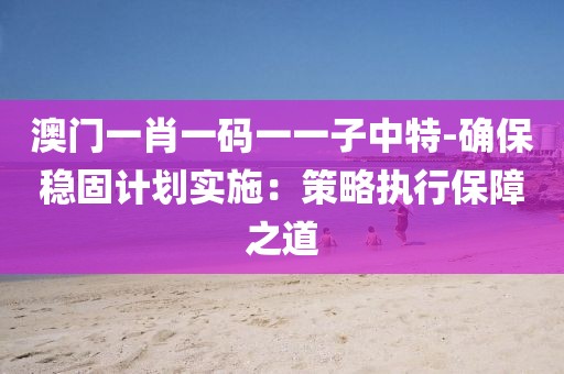 澳门一肖一码一一子中特-确保稳固计划实施：策略执行保障之道