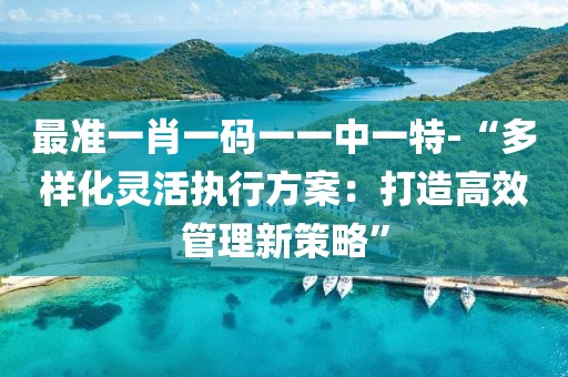 最准一肖一码一一中一特-“多样化灵活执行方案：打造高效管理新策略”