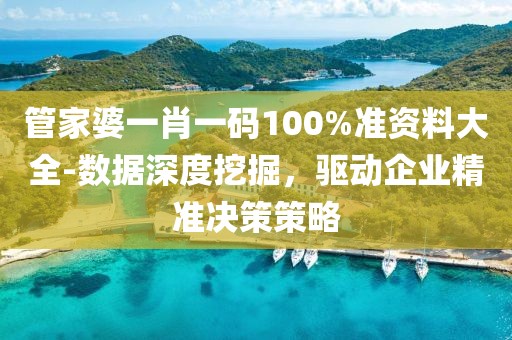 管家婆一肖一码100%准资料大全-数据深度挖掘，驱动企业精准决策策略
