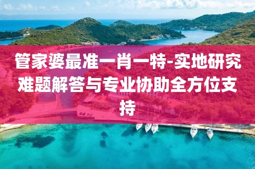 管家婆最准一肖一特-实地研究难题解答与专业协助全方位支持