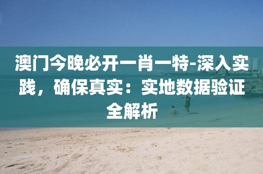 澳门今晚必开一肖一特-深入实践，确保真实：实地数据验证全解析