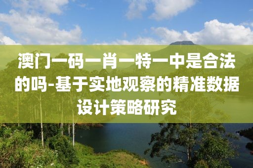 澳门一码一肖一特一中是合法的吗-基于实地观察的精准数据设计策略研究