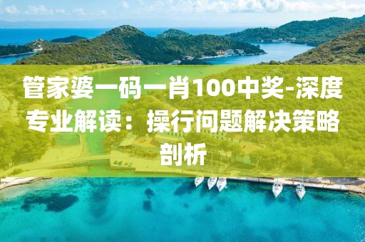 管家婆一码一肖100中奖-深度专业解读：操行问题解决策略剖析
