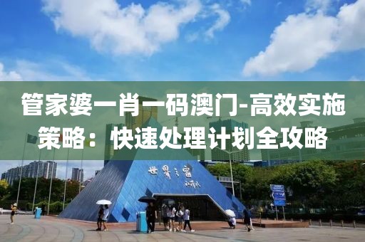 管家婆一肖一码澳门-高效实施策略：快速处理计划全攻略