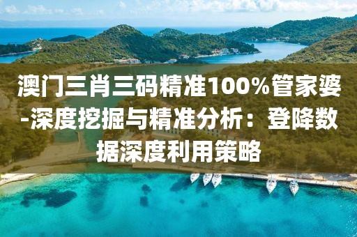 澳门三肖三码精准100%管家婆-深度挖掘与精准分析：登降数据深度利用策略