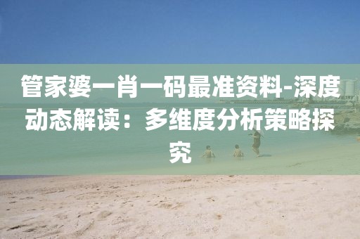 管家婆一肖一码最准资料-深度动态解读：多维度分析策略探究