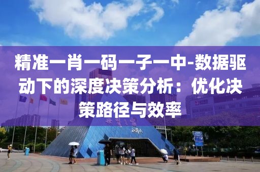 精准一肖一码一子一中-数据驱动下的深度决策分析：优化决策路径与效率