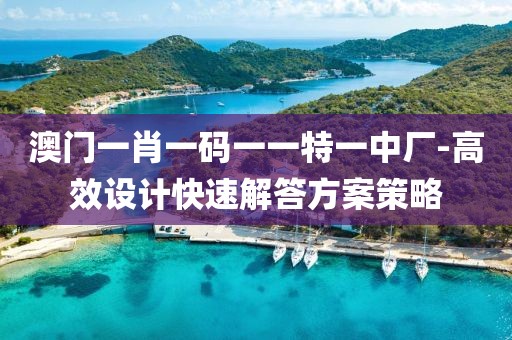澳门一肖一码一一特一中厂-高效设计快速解答方案策略