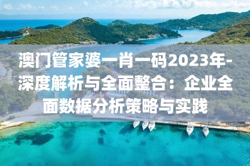 澳门管家婆一肖一码2023年-深度解析与全面整合：企业全面数据分析策略与实践