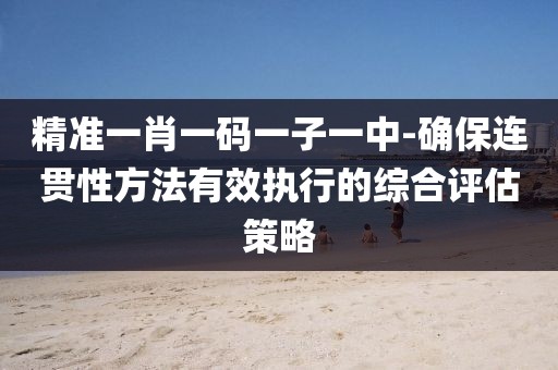 精准一肖一码一子一中-确保连贯性方法有效执行的综合评估策略