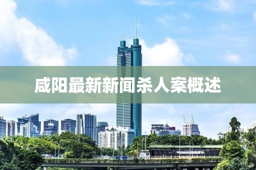咸阳最新新闻杀人案概述