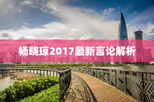 杨晓琼2017最新言论解析