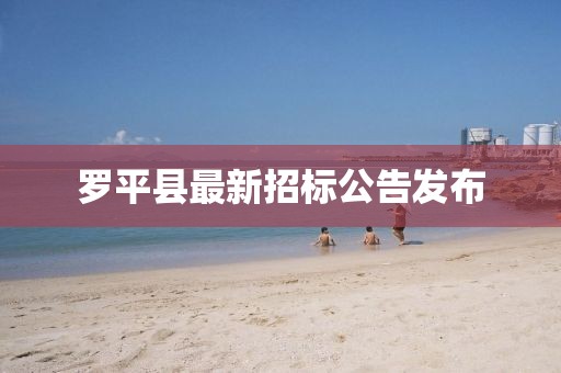 罗平县最新招标公告发布