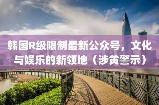 韩国R级限制最新公众号，文化与娱乐的新领地（涉黄警示）