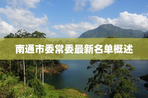 南通市委常委最新名单概述