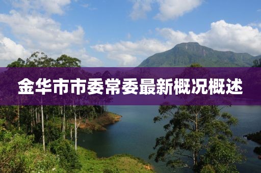 金华市市委常委最新概况概述