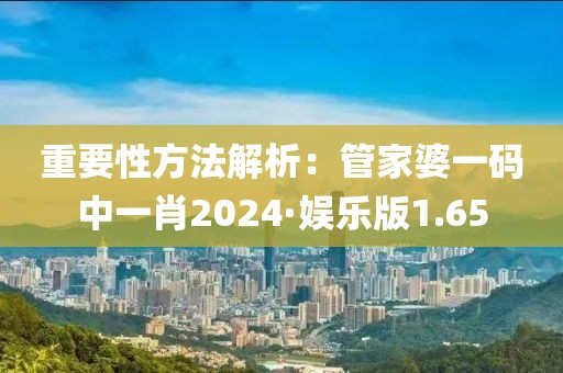 重要性方法解析：管家婆一码中一肖2024·娱乐版1.65