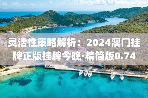 灵活性策略解析：2024澳门挂牌正版挂牌今晚·精简版0.74