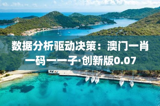数据分析驱动决策：澳门一肖一码一一子·创新版0.07