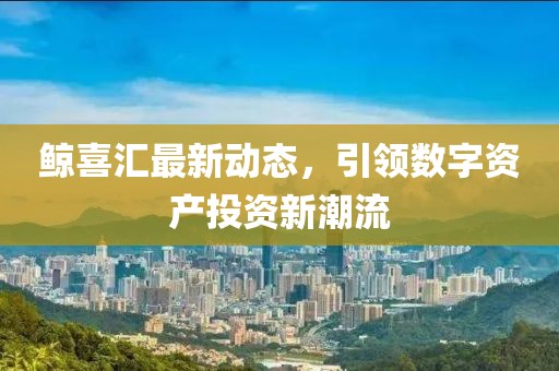 鲸喜汇最新动态，引领数字资产投资新潮流