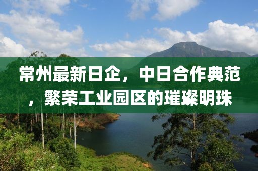 常州最新日企，中日合作典范，繁荣工业园区的璀璨明珠