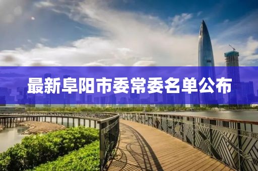 最新阜阳市委常委名单公布