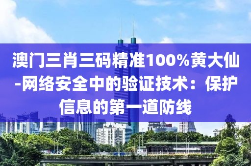 澳门三肖三码精准100%黄大仙-网络安全中的验证技术：保护信息的第一道防线