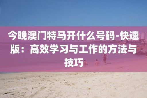 今晚澳门特马开什么号码-快速版：高效学习与工作的方法与技巧