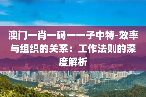 澳门一肖一码一一子中特-效率与组织的关系：工作法则的深度解析